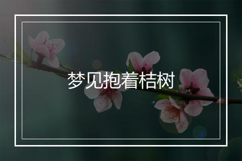 梦见抱着桔树