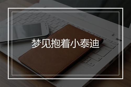 梦见抱着小泰迪