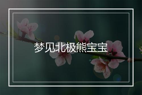 梦见北极熊宝宝