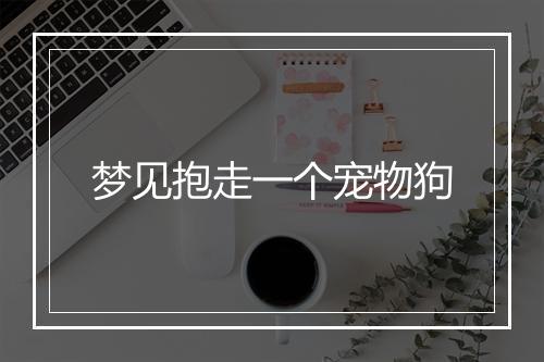 梦见抱走一个宠物狗