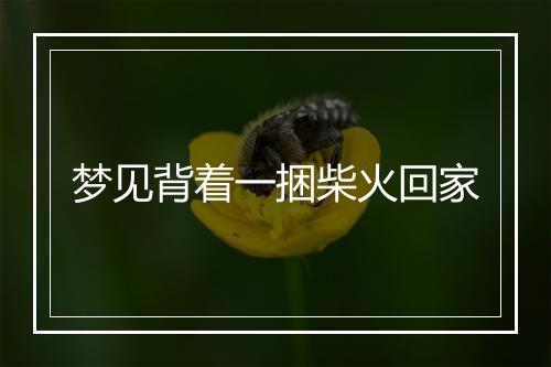 梦见背着一捆柴火回家