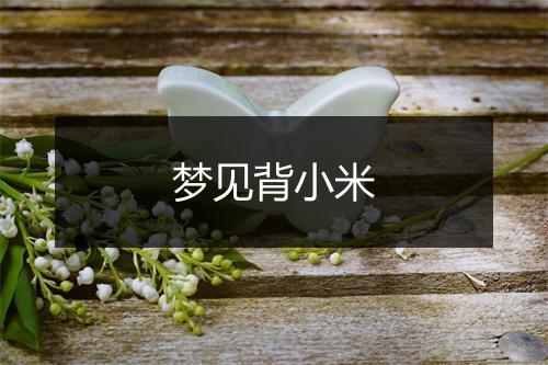 梦见背小米