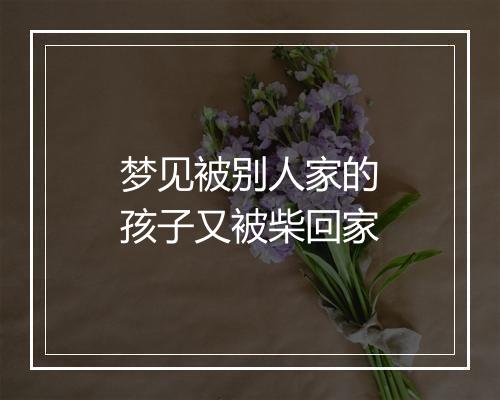 梦见被别人家的孩子又被柴回家