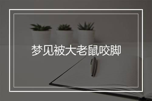 梦见被大老鼠咬脚