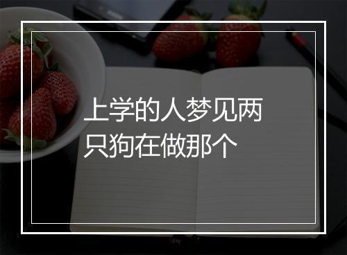 上学的人梦见两只狗在做那个