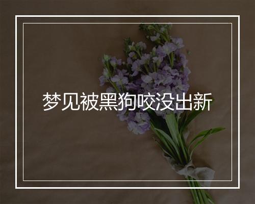 梦见被黑狗咬没出新