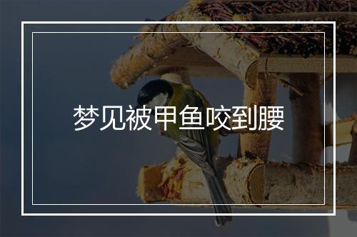 梦见被甲鱼咬到腰