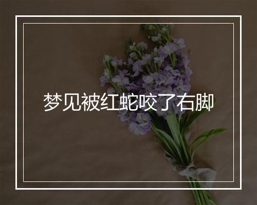 梦见被红蛇咬了右脚