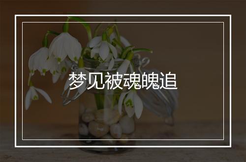 梦见被魂魄追