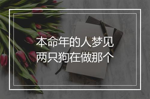 本命年的人梦见两只狗在做那个