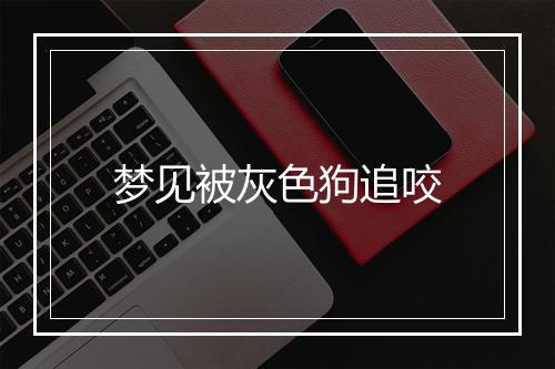 梦见被灰色狗追咬