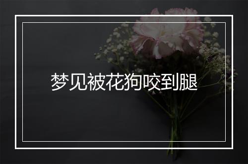 梦见被花狗咬到腿