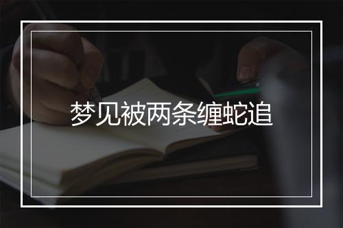 梦见被两条缠蛇追