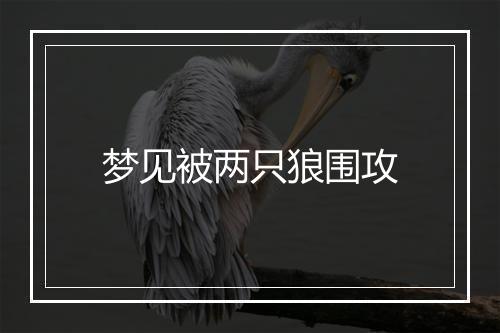 梦见被两只狼围攻