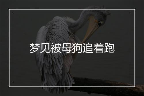 梦见被母狗追着跑