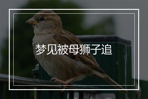 梦见被母狮子追