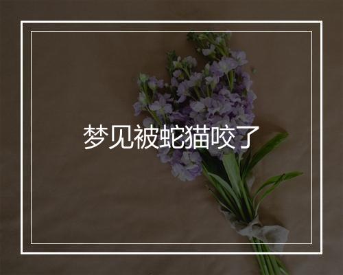 梦见被蛇猫咬了