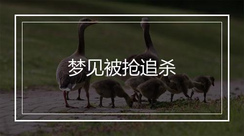 梦见被抢追杀