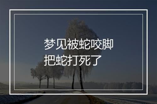 梦见被蛇咬脚把蛇打死了