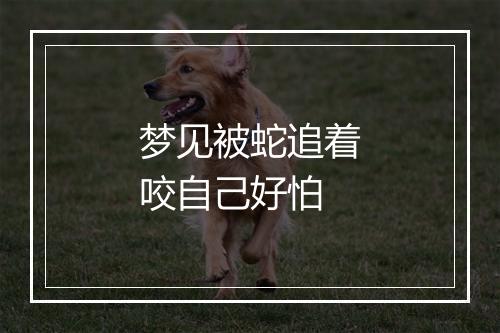 梦见被蛇追着咬自己好怕