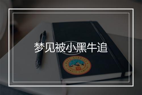 梦见被小黑牛追