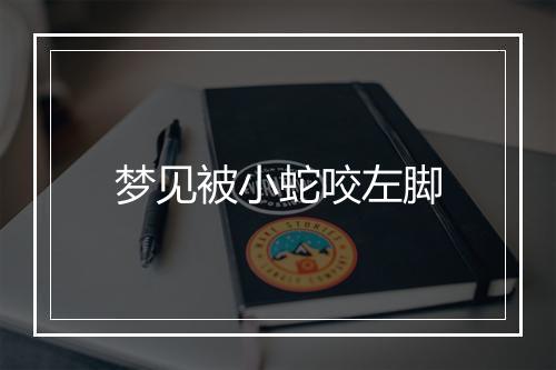 梦见被小蛇咬左脚