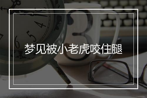 梦见被小老虎咬住腿