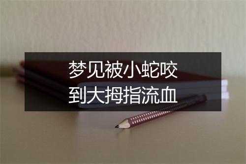 梦见被小蛇咬到大拇指流血