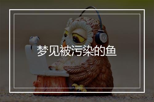 梦见被污染的鱼