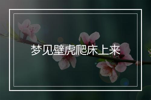 梦见壁虎爬床上来