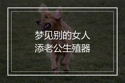 梦见别的女人添老公生殖器