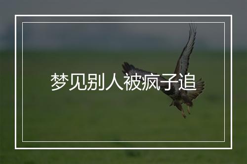 梦见别人被疯子追