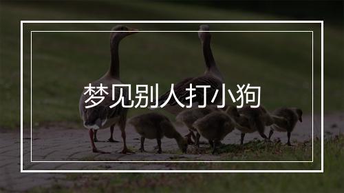 梦见别人打小狗