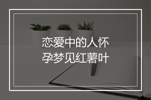 恋爱中的人怀孕梦见红薯叶