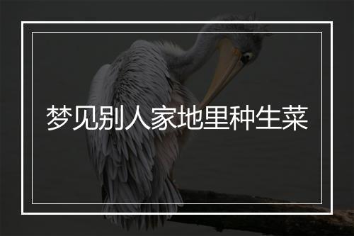 梦见别人家地里种生菜