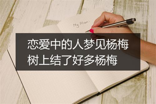 恋爱中的人梦见杨梅树上结了好多杨梅