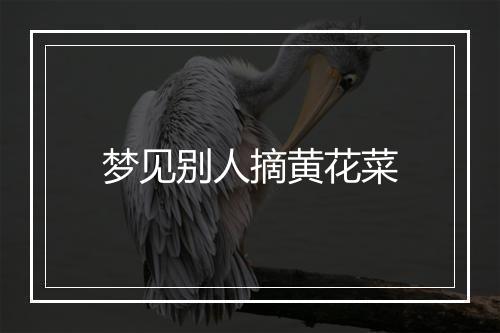 梦见别人摘黄花菜