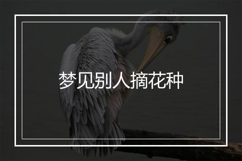 梦见别人摘花种