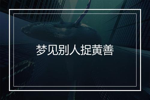 梦见别人捉黄善