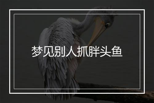 梦见别人抓胖头鱼