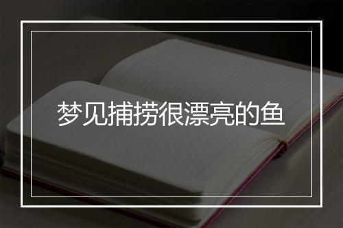 梦见捕捞很漂亮的鱼