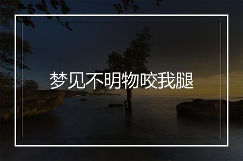 梦见不明物咬我腿