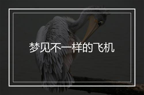 梦见不一样的飞机