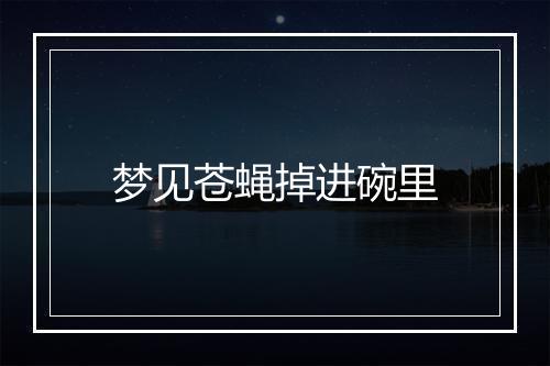 梦见苍蝇掉进碗里