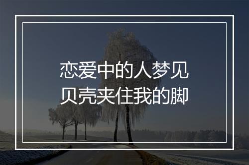 恋爱中的人梦见贝壳夹住我的脚