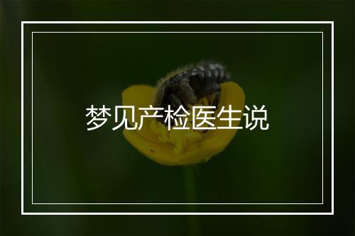 梦见产检医生说