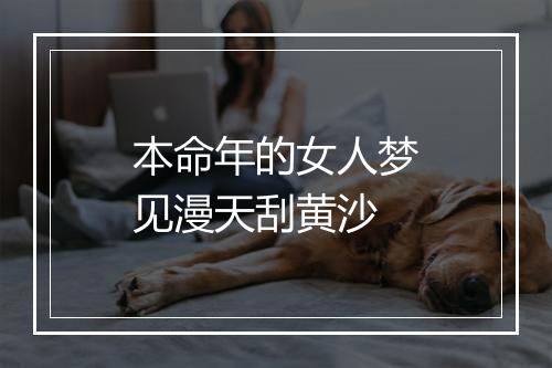 本命年的女人梦见漫天刮黄沙