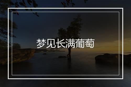 梦见长满葡萄