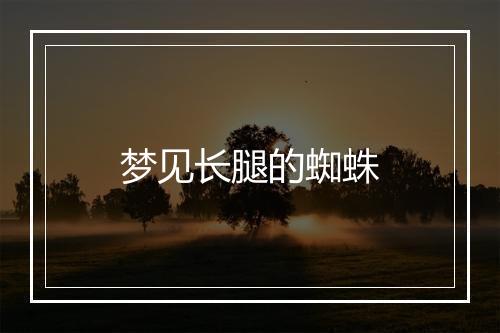 梦见长腿的蜘蛛