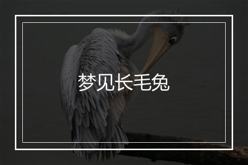 梦见长毛兔